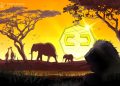 IMF calls for tighter crypto regulation in Africa as the industry unfolds