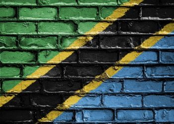 Tanzania opts for ‘cautious’ approach in its CBDC development