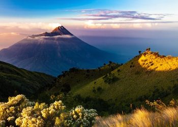 Indonesia to launch national crypto exchange in 2023