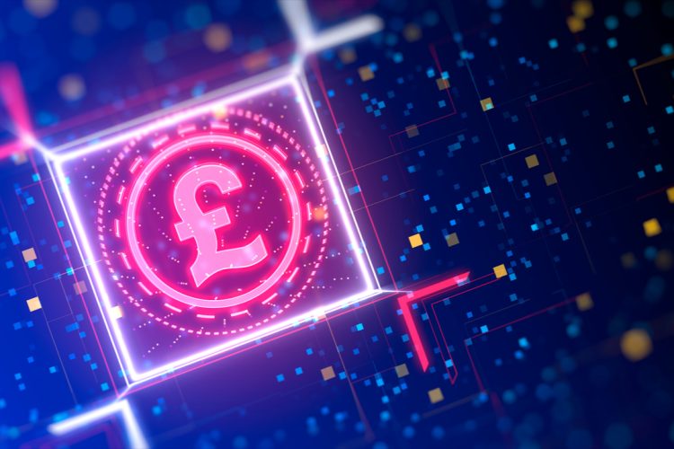 How Would You Like to Pay? Moving Towards the Digital Pound