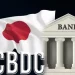 Japan’s Finance Ministry To Set Up Experts Panel For CBDC Viability